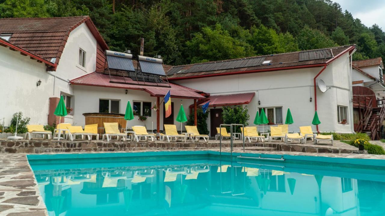 Pensiunea Alpin Păltiniş エクステリア 写真