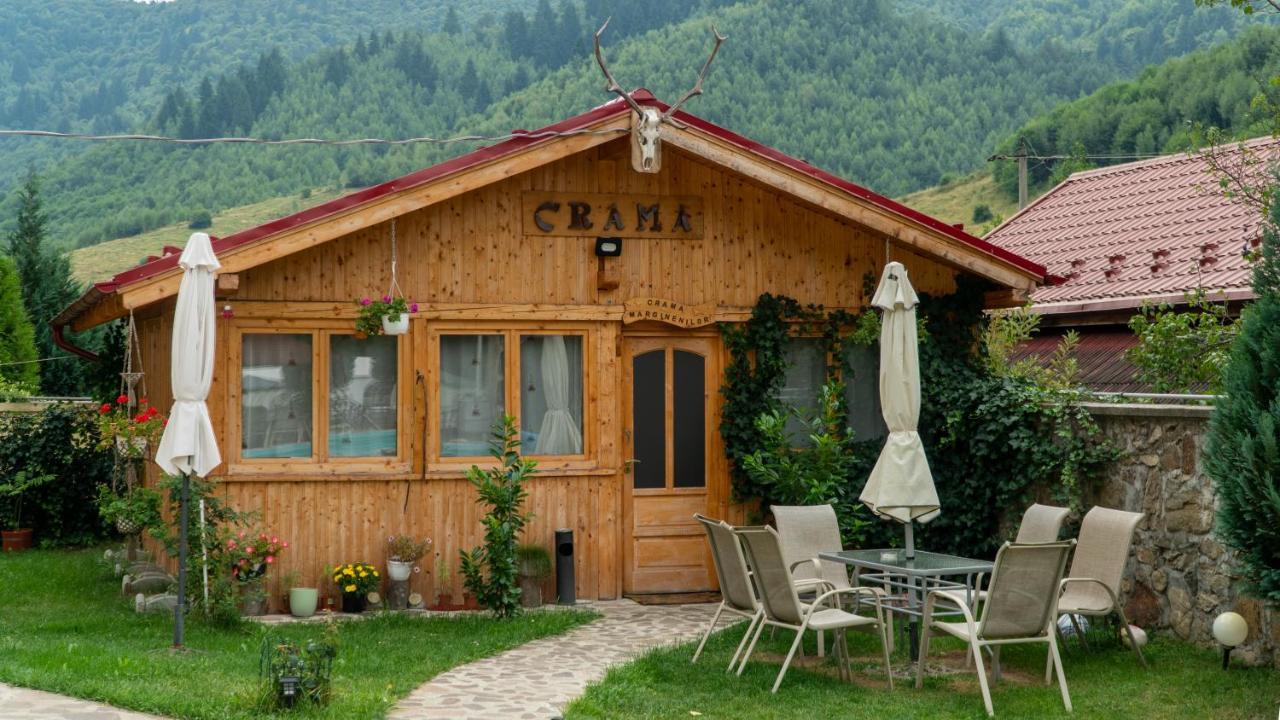 Pensiunea Alpin Păltiniş エクステリア 写真