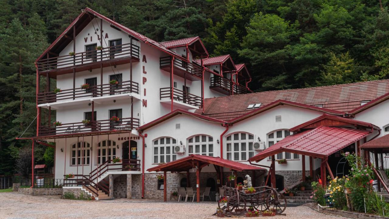 Pensiunea Alpin Păltiniş エクステリア 写真