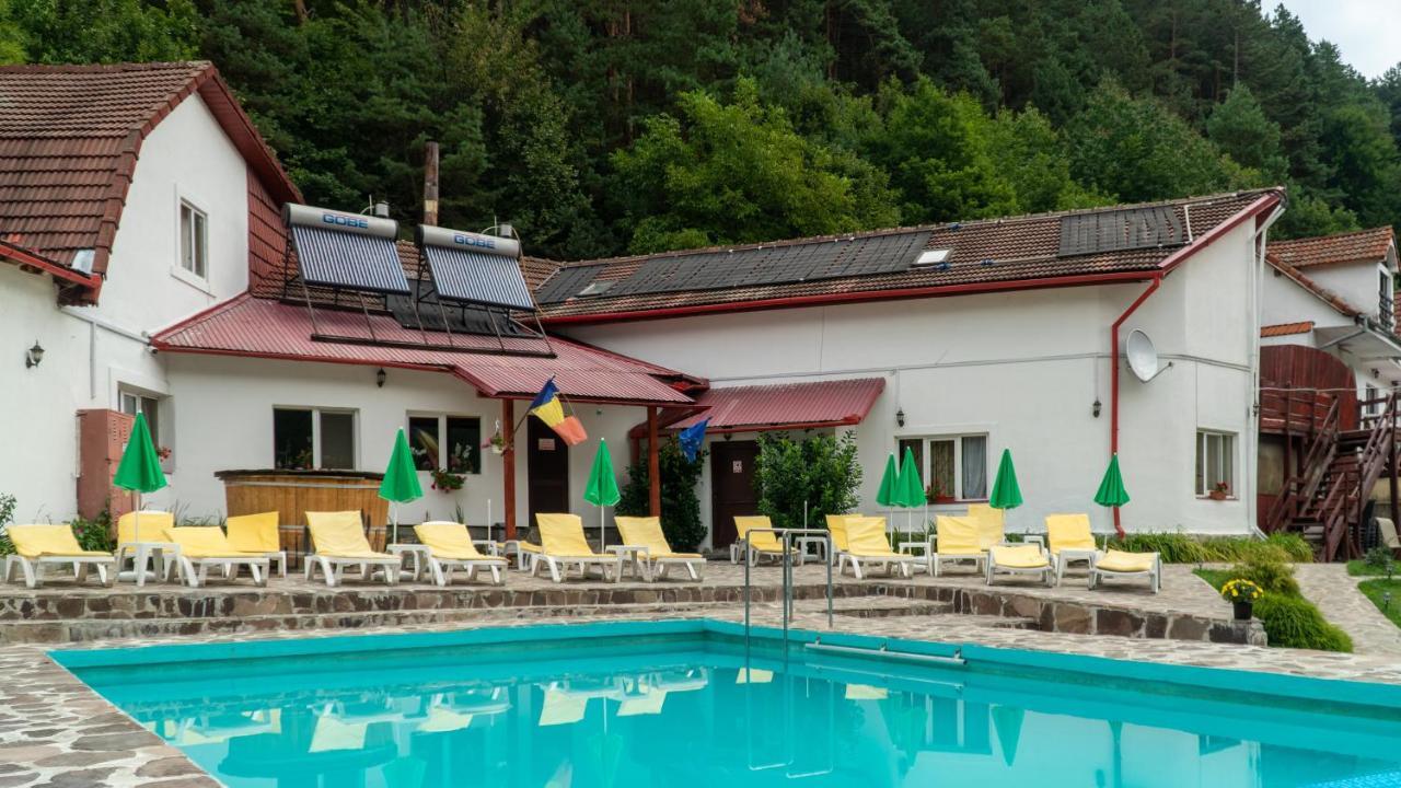 Pensiunea Alpin Păltiniş エクステリア 写真