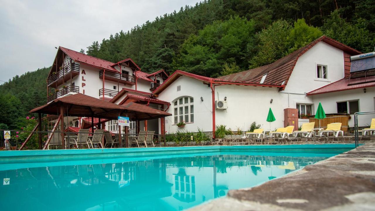 Pensiunea Alpin Păltiniş エクステリア 写真