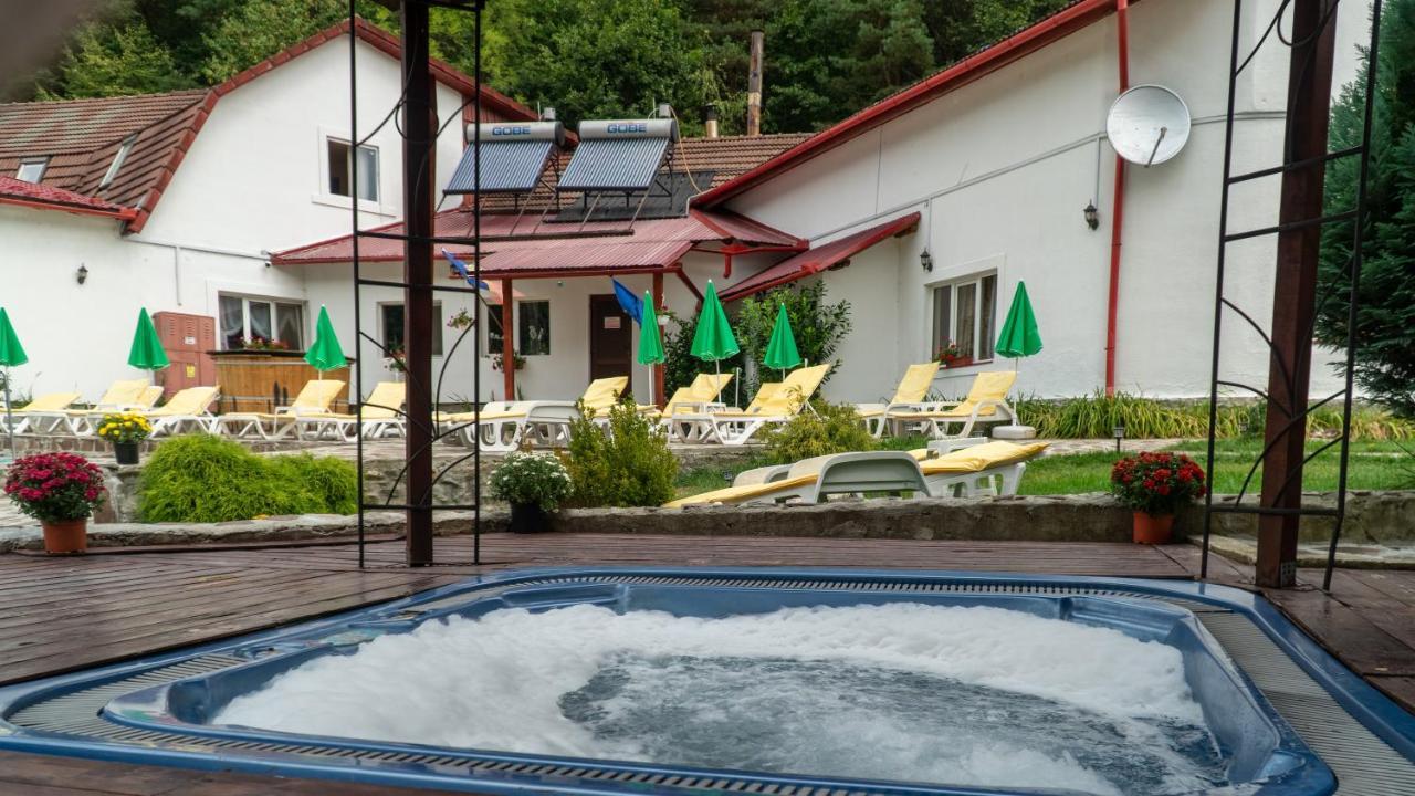 Pensiunea Alpin Păltiniş エクステリア 写真