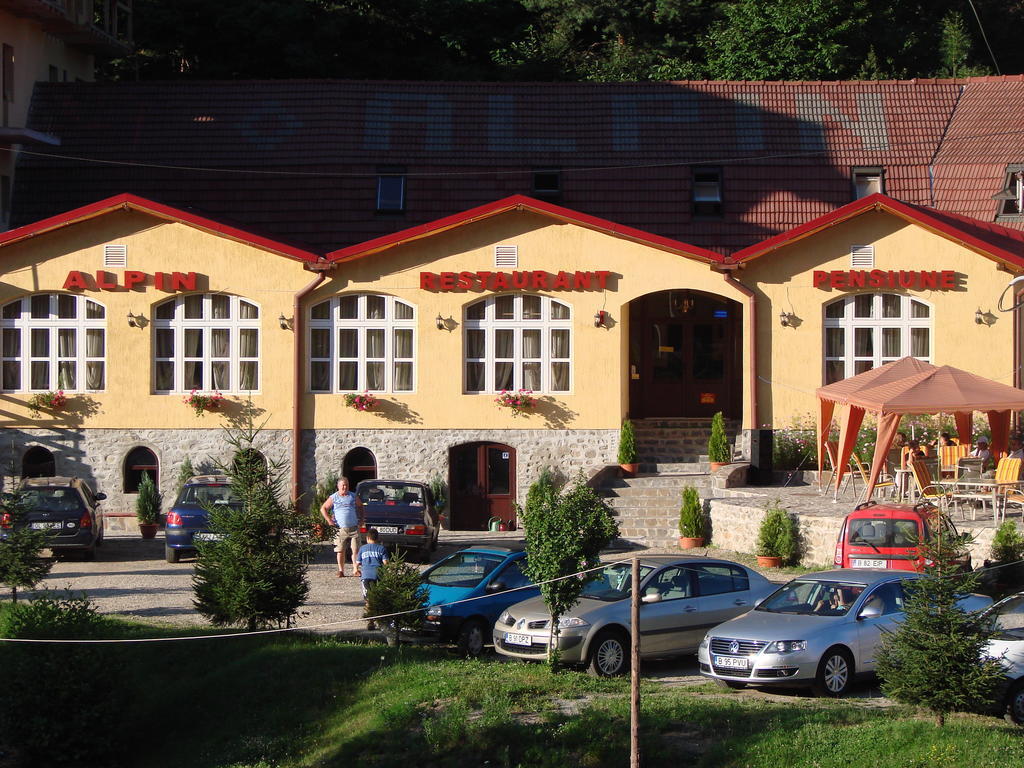 Pensiunea Alpin Păltiniş エクステリア 写真